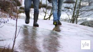 Juhat luonnossa: Mikä on Suomen suomalaisin eläin?: 01.12.2020 18.30
