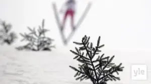 Mäkihypyn MC: Nizhni Tagil, miesten kilpailu: 06.12.2020 18.42