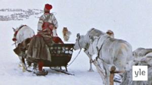 Arktinen raportti: Pohjoiseen, pohjoiseen: 08.12.2020 14.00