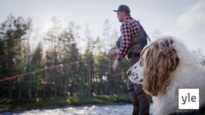 Tätä on tää Lappi nyt: 22.02.2021 00.01
