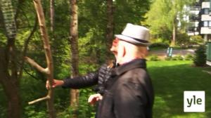 Juhat luonnossa: Kottaraisen viisaus: 26.05.2021 19.10