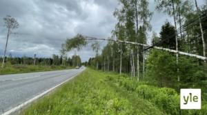 Vieno-myrsky katkonut sähköjä ja työllistänyt pelastuslaitosta Itä-Suomessa: 15.06.2021 13.34