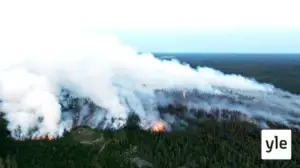 Största skogsbränderna på över 50 år rasar i Kalajoki: 29.07.2021 13.48