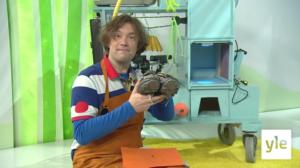 Pikku Kakkonen: 18.08.2021 07.31