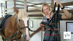 Lisa sadlar och tränsar en häst (S): 25.08.2021 09.29