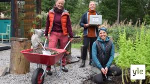 Strömsö live: Chatta med Strömsös trädgårdsmästare om no dig-metoden klockan 18: 26.08.2021 19.01
