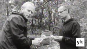 Filmikellari: 11.11.2021 13.24