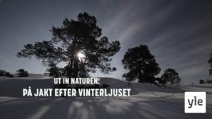 Luontoretkellä: Talven valoa etsimässä: 17.01.2022 05.55