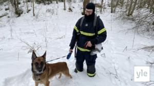 Belgianpaimenkoira Viri auttoi poliisia selvittämään polttomurhan: 27.01.2022 09.12