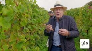 Camel Valley: 07.02.2022 06.00