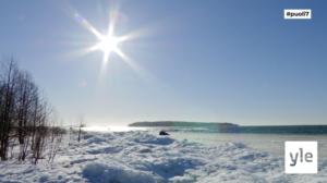 Juhat luonnossa: Tunnista lintu!: 07.03.2022 18.11