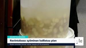Yle Uutiset Keski-Suomi ja Etelä-Savo 25.3.2022: 25.03.2022 17.06