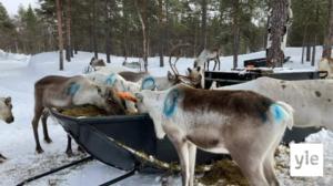 Yle Oddasat 8.4.2022: 08.04.2022 16.45