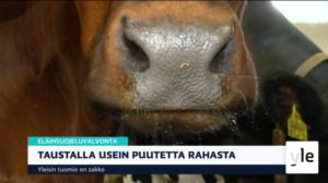 Yle Uutiset klo 7.00: 11.09.2019 07.29