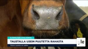 Yle Uutiset klo 9.00: 11.09.2019 09.29