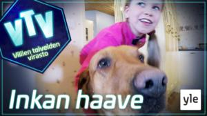 Inkan haave: 16.10.2019 10.00