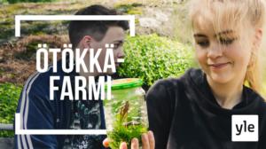 ONKS NOLOO HARRASTAA OUTOJA?: 25.10.2019 00.01