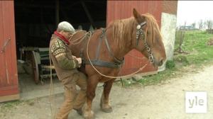 Tanskalainen maajussi : 15.01.2020 17.25