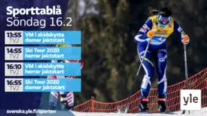 Världscupen på skidor, damernas jaktstart (svenskt referat): 16.02.2020 17.53