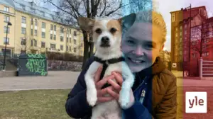 Elefantkalas och panda romans: 14.04.2020 18.00