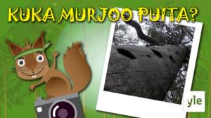 Kuka murjoo puita?: 22.04.2020 10.00
