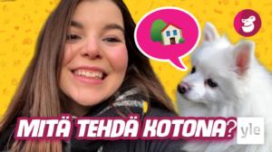 Seuraajat päättää päivän -haaste: 30.04.2020 15.00