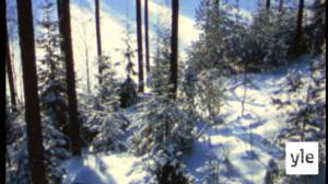 Kevät edistyy: 11.05.2020 00.01
