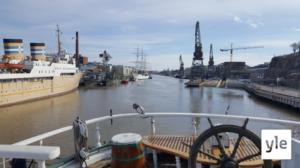 Svenska Yle live: Sigyn slow-tv: 20.05.2020 11.32