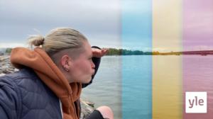 Delfiner i Finland: 25.05.2020 16.00