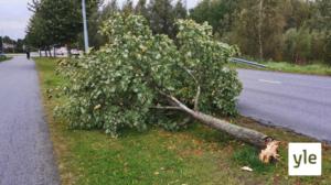 Tältä näyttää Aila-syysmyrsky eri puolilla Suomea: 17.09.2020 10.34