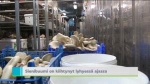 Yle Uutiset Uusimaa: Yle Uutiset Uusimaa 14-11-2017 klo 18-22: 29.11.2017 19.13