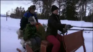 Vaarin riihellä: 01.12.2017 12.00