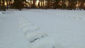 Yle Uutiset Lappi: Yle Uutiset Lappi 04-12-2017 Klo 17-06: 04.12.2017 16.52