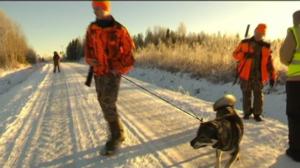 Yle Uutiset Lappi: Yle Uutiset Lappi 14-12-2017 Klo 17-06: 14.12.2017 16.50