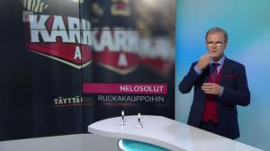 Yle Uutiset viittomakielellä: 15.12.2017 16.55