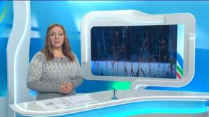 Yle Uutiset Pohjanmaa: Yle Uutiset Pohjanmaa 19-12-2017 Klo 18-22: 19.12.2017 17.39