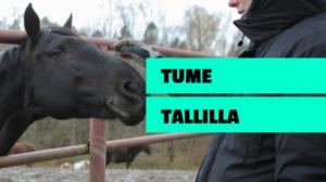 Tume oikeissa töissä: Hevostallilla: 28.12.2017 00.01
