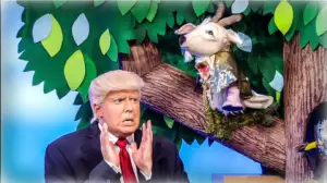 Comedy Central: The President Show (S): 29.12.2017 06.00