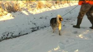 Yle Uutiset Lappi: Yle Uutiset Lappi 02-01-2018 Klo 17-06: 02.01.2018 16.47
