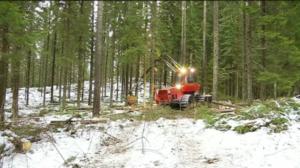 Yle Uutiset Häme: Yle Uutiset Häme 03-01-2018 klo 17-06: 03.01.2018 16.50