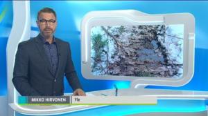 Yle Uutiset Häme: Yle Uutiset Häme 03-01-2018 Klo 18-22: 03.01.2018 18.07