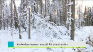 Yle Uutiset Itä-Suomi: Yle Uutiset Itä-Suomi 08-01-2018 Klo 18-22: 08.01.2018 17.42