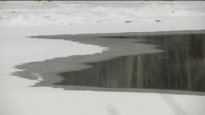 Yle Uutiset Lounais-Suomi: Yle Uutiset Lounais-Suomi 18-01-2018 Klo 17-06: 18.01.2018 16.48