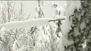 Yle Uutiset Pohjois-Suomi: Yle Uutiset Pohjois-Suomi 24-01-2018 Klo 17-06: 24.01.2018 16.57