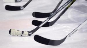 Mestis: LeKi - SaPKo: 26.01.2018 18.30