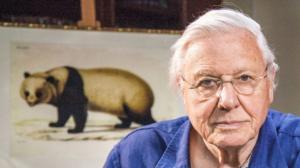 Luontohetki: Attenborough'n erikoiset: 11.02.2018 06.00