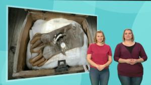 Historia hanskassa, Katti Matikainen (viittomakielelle tulkattuna): 16.02.2018 02.00