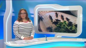 Yle Uutiset Pohjois-Suomi: Yle Uutiset Pohjois-Suomi 01-03-2018 Klo 18-22: 01.03.2018 17.49