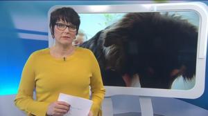Yle Uutiset Uutis-Suomi: Yle Uutiset Uutis-Suomi 07-03-2018: 07.03.2018 19.44