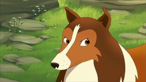 Lassie (7): 11.03.2018 09.34